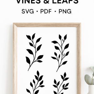Decorative Vines & Leafs – SVG, PDF, PNG Bundle